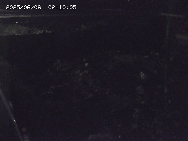 私都川７2025/06/06 2:50:00