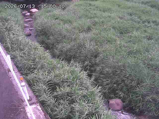 私都川７2026/07/14 15:30:00