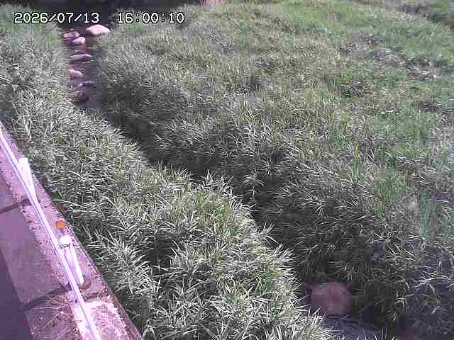 私都川７2026/07/14 15:30:00