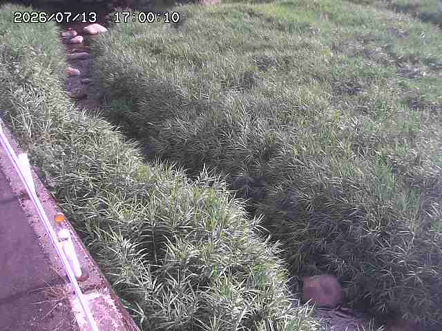 私都川７2026/07/14 15:30:00