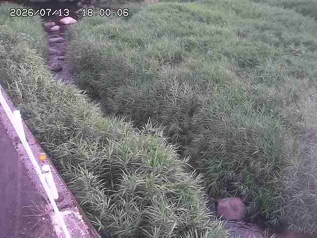 私都川７2026/07/14 15:30:00
