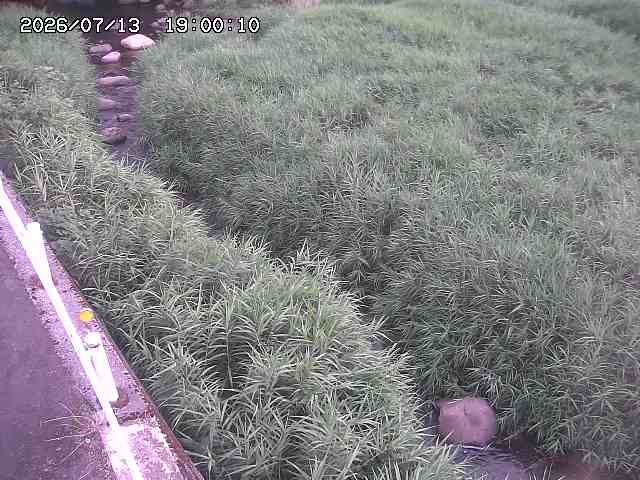 私都川７2026/07/14 15:30:00