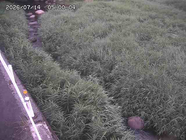 私都川７2026/07/14 15:30:00