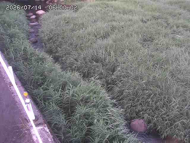 私都川７2026/07/14 15:30:00