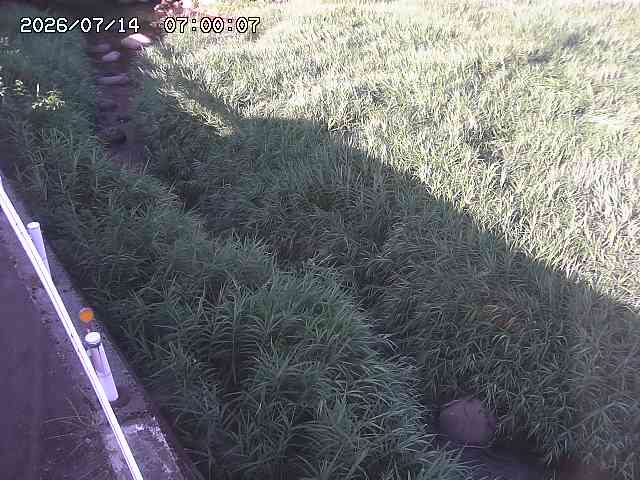 私都川７2026/07/14 15:30:00