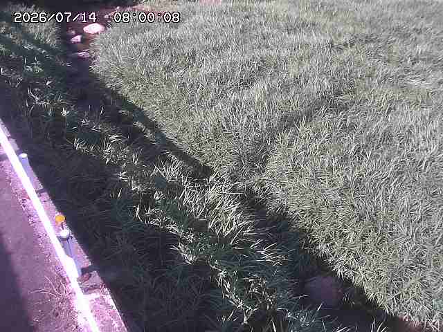 私都川７2026/07/14 15:30:00