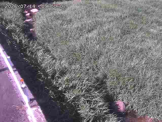 私都川７2026/07/14 15:30:00