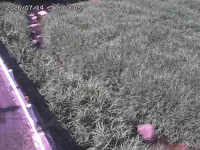 私都川７2026/07/14 15:30:00