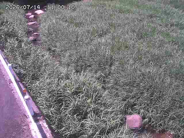 私都川７2026/07/14 15:30:00