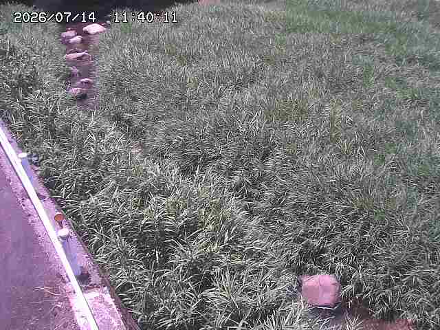 私都川７2026/07/14 15:30:00