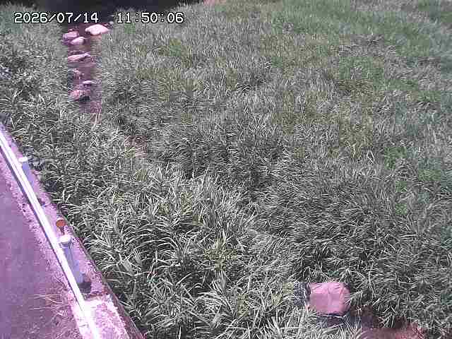 私都川７2026/07/14 15:30:00