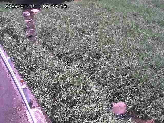 私都川７2026/07/14 15:30:00