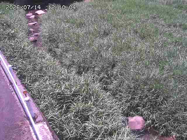 私都川７2026/07/14 15:30:00