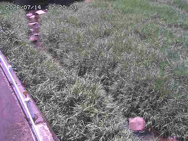 私都川７2026/07/14 15:30:00