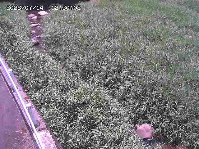 私都川７2026/07/14 15:30:00