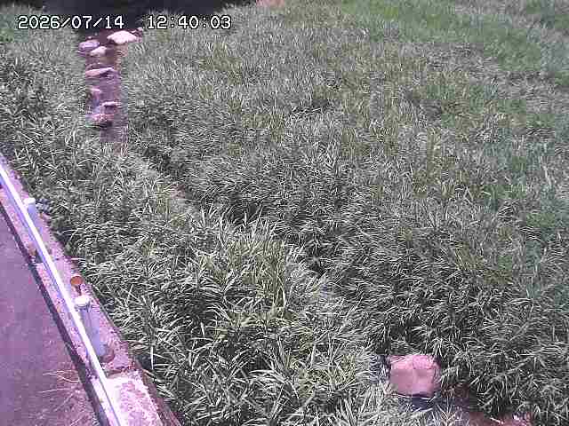 私都川７2026/07/14 15:30:00