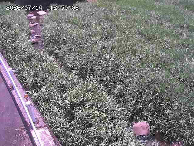 私都川７2026/07/14 15:30:00