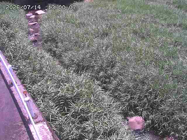 私都川７2026/07/14 15:30:00