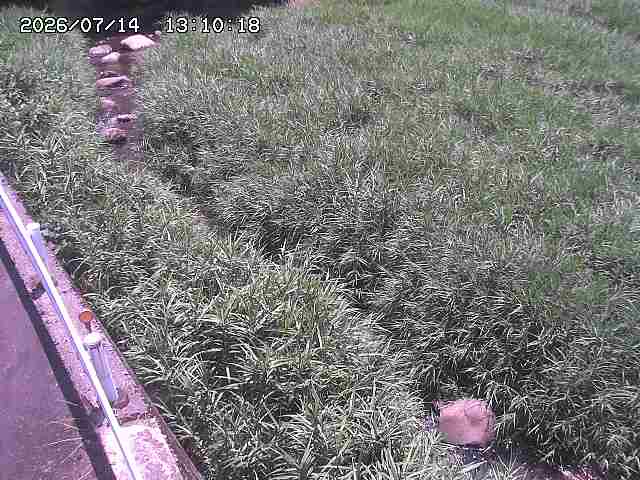 私都川７2026/07/14 15:30:00