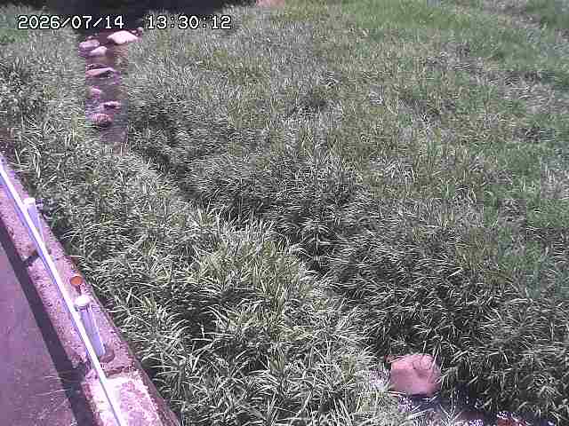 私都川７2026/07/14 15:30:00