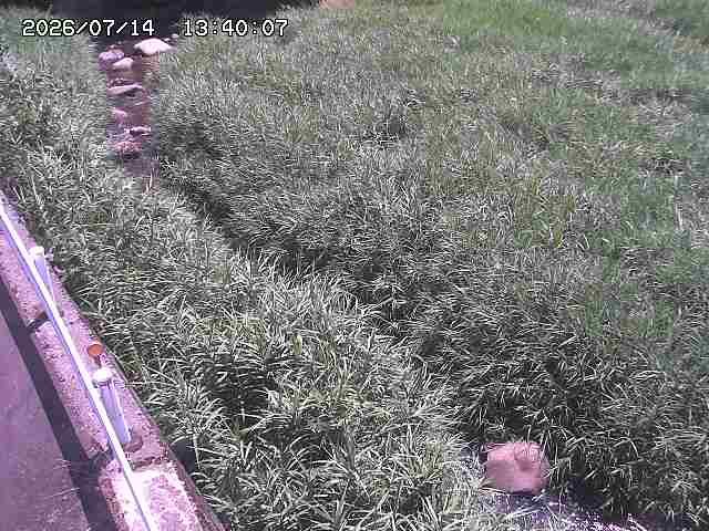 私都川７2026/07/14 15:30:00