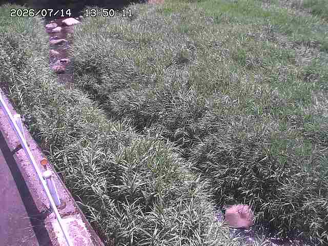 私都川７2026/07/14 15:30:00