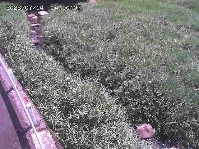 私都川７2026/07/14 15:30:00