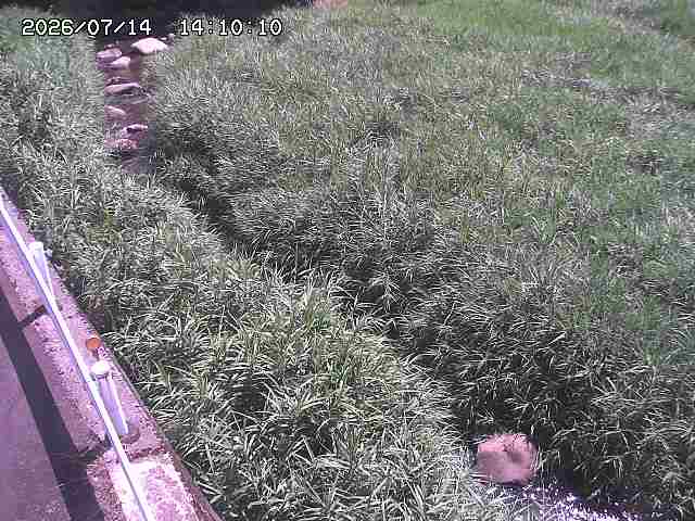 私都川７2026/07/14 15:30:00