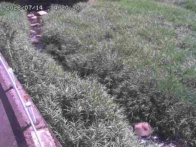 私都川７2026/07/14 15:30:00