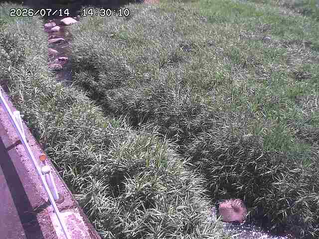 私都川７2026/07/14 15:30:00