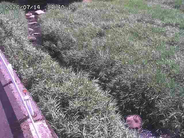 私都川７2026/07/14 15:30:00