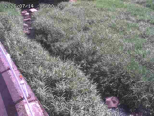 私都川７2026/07/14 15:30:00