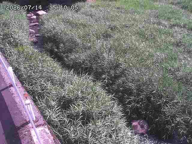 私都川７2026/07/14 15:30:00