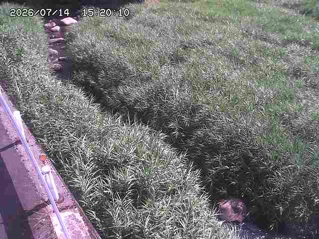 私都川７2026/07/14 15:30:00