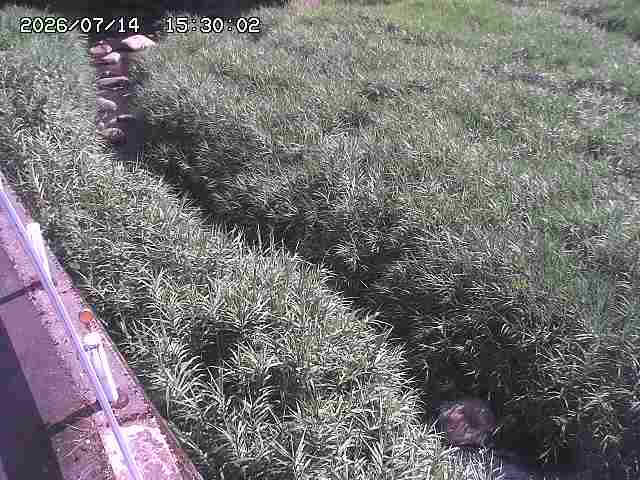 私都川７2026/07/14 15:30:00