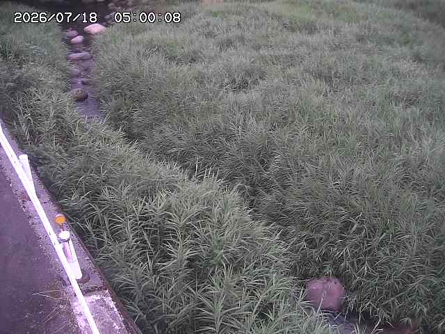 私都川７2026/07/18 20:50:00
