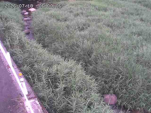 私都川７2026/07/18 20:50:00