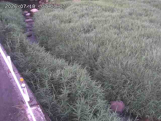 私都川７2026/07/18 20:50:00