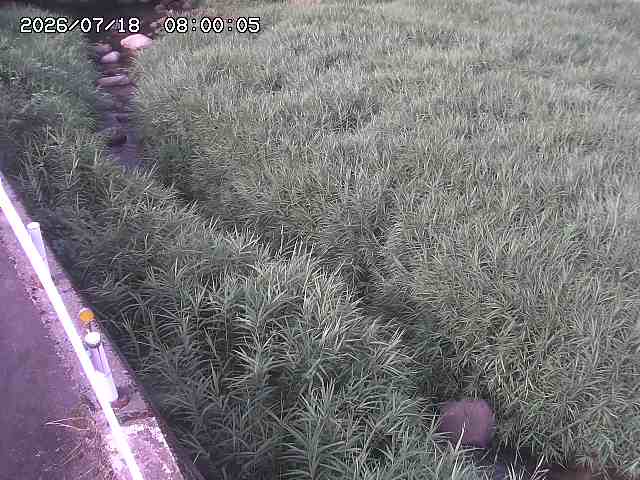 私都川７2026/07/18 20:50:00