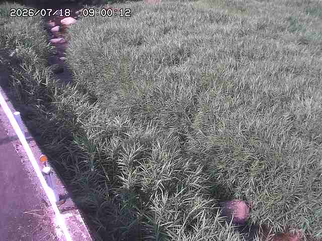 私都川７2026/07/18 20:50:00