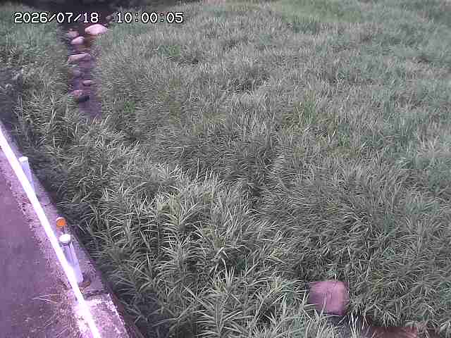 私都川７2026/07/18 20:50:00