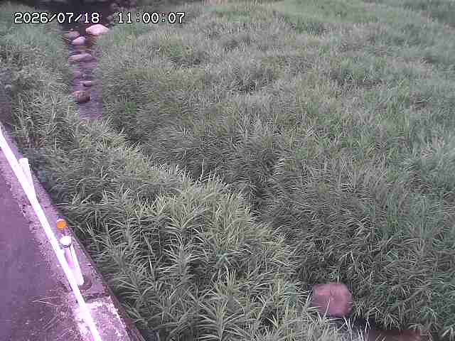 私都川７2026/07/18 20:50:00