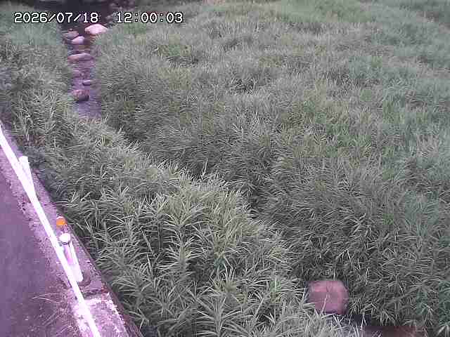 私都川７2026/07/18 20:50:00