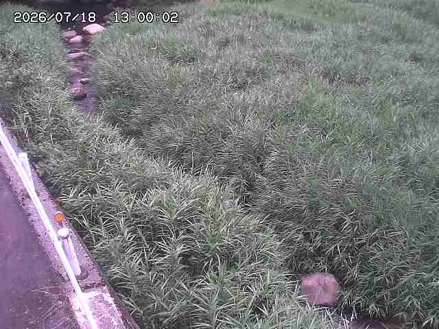 私都川７2026/07/18 20:50:00