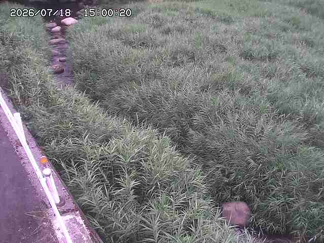 私都川７2026/07/18 20:50:00