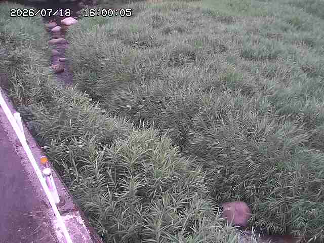 私都川７2026/07/18 20:50:00