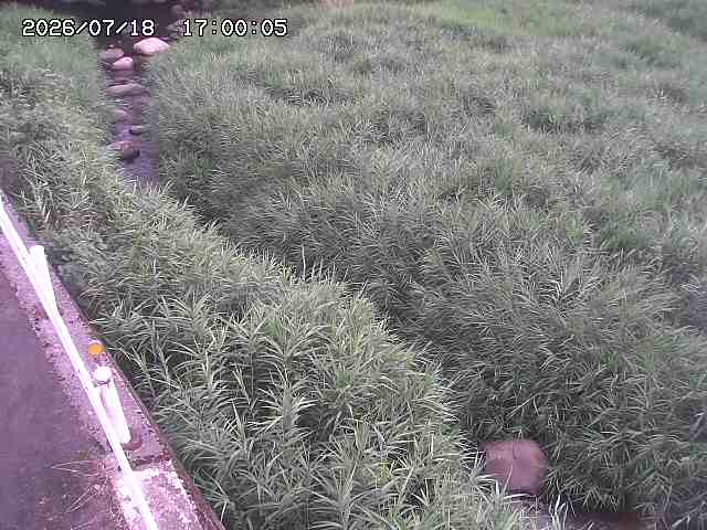 私都川７2026/07/18 20:50:00