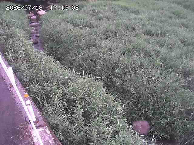 私都川７2026/07/18 20:50:00