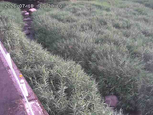 私都川７2026/07/18 20:50:00
