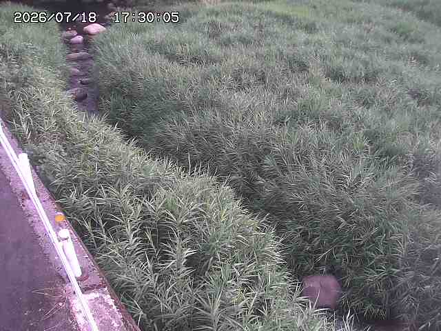 私都川７2026/07/18 20:50:00